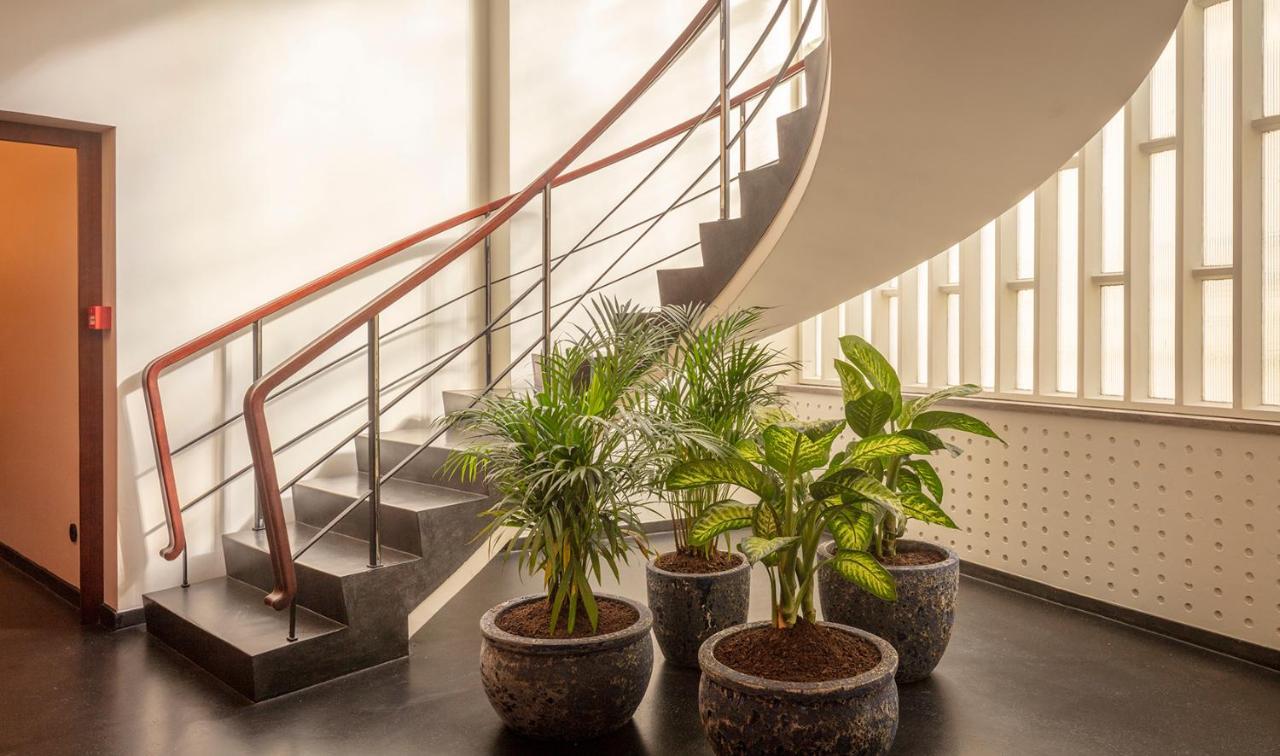 Ceuta Terrace Suites Porto Exteriér fotografie